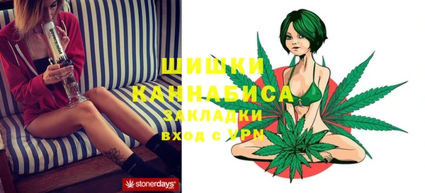 mix Няндома