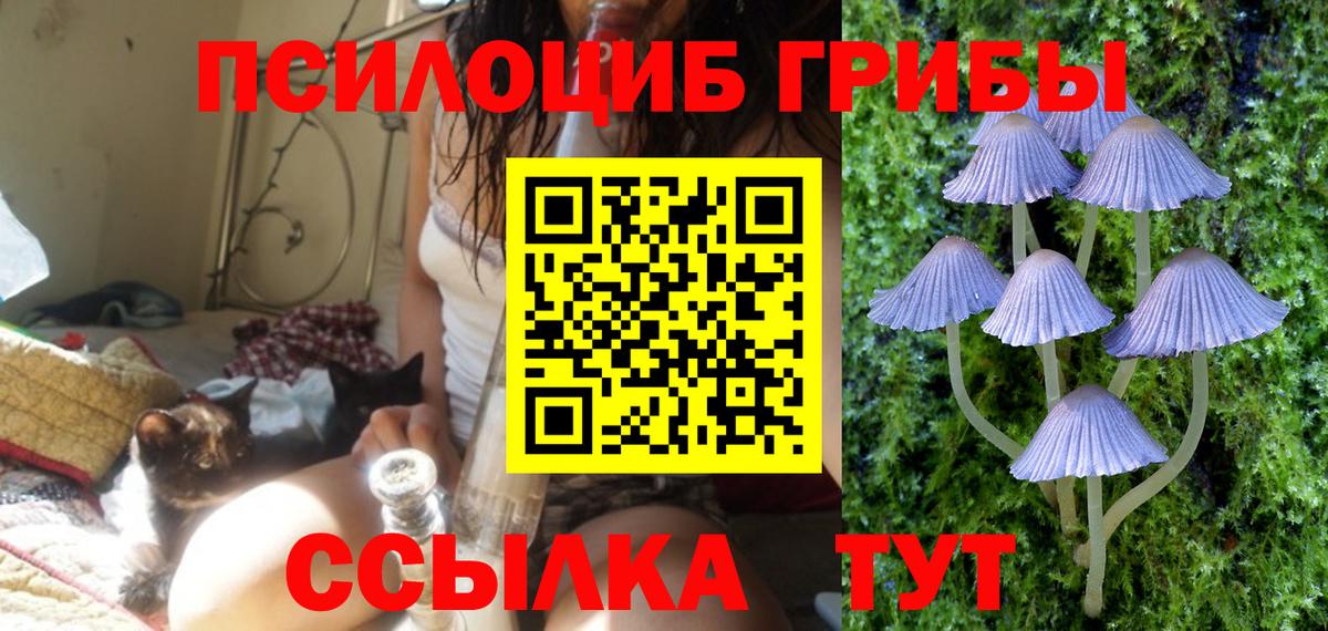 Унеча  Галлюциногенные грибы Magic Shrooms  Вход с VPN 