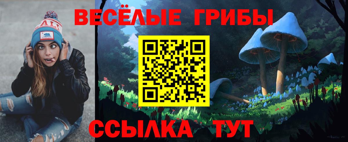 Галлюциногенные грибы GOLDEN TEACHER  Унеча 