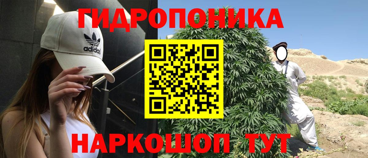 Каннабис гибрид Унеча